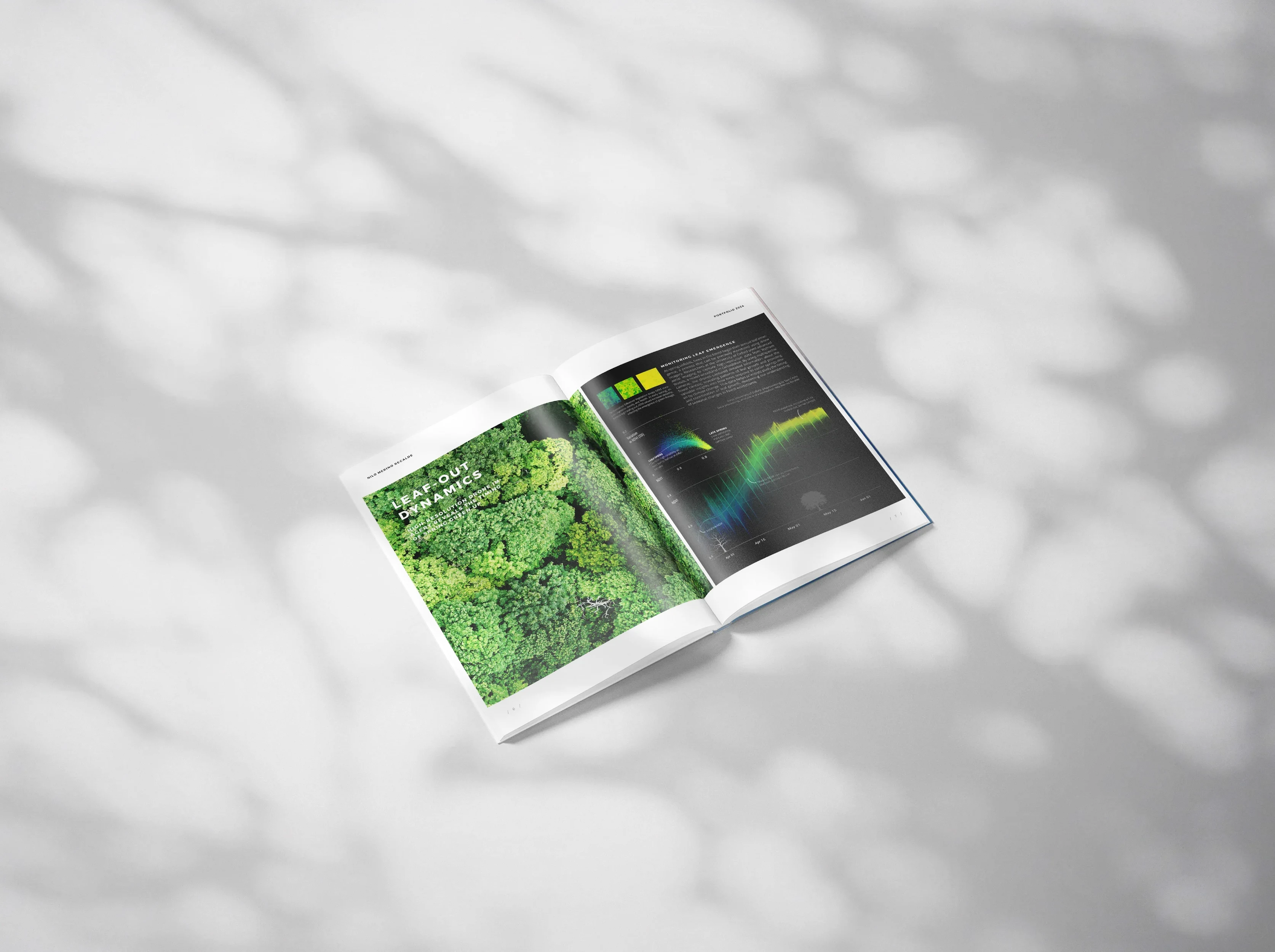 Computer vision for ecological monitoring