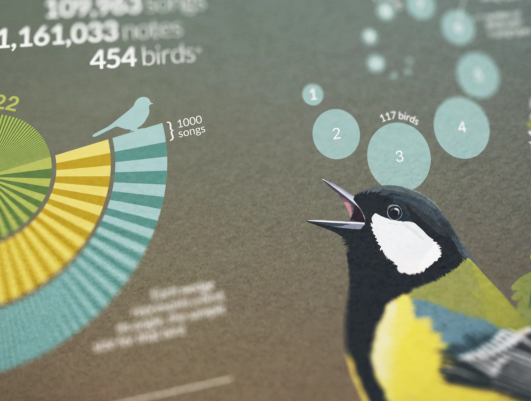 Open-source Data & Software Solutions