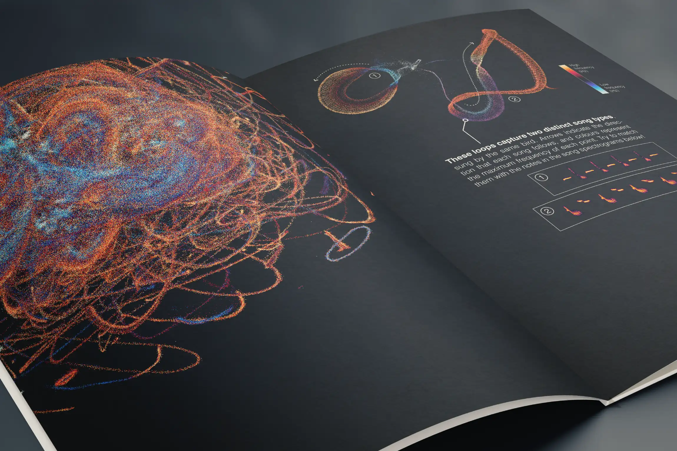 Deep Learning and Signal Processing